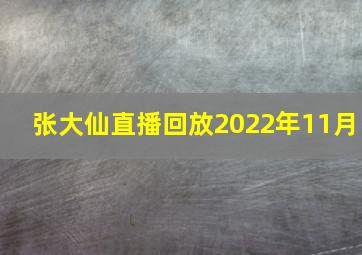 张大仙直播回放2022年11月