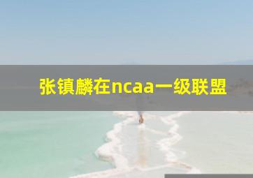 张镇麟在ncaa一级联盟