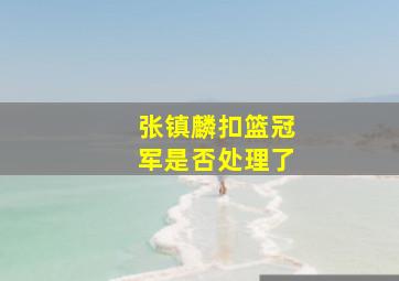 张镇麟扣篮冠军是否处理了