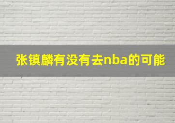 张镇麟有没有去nba的可能