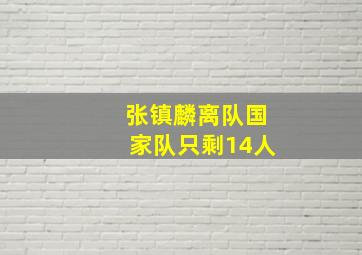 张镇麟离队国家队只剩14人