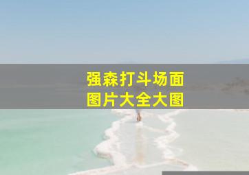 强森打斗场面图片大全大图