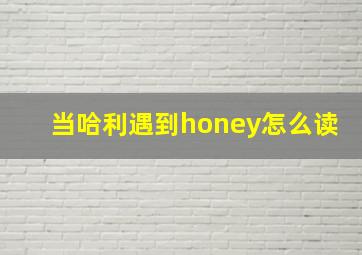 当哈利遇到honey怎么读