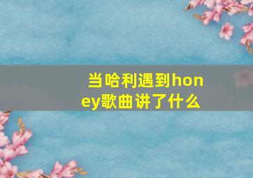 当哈利遇到honey歌曲讲了什么