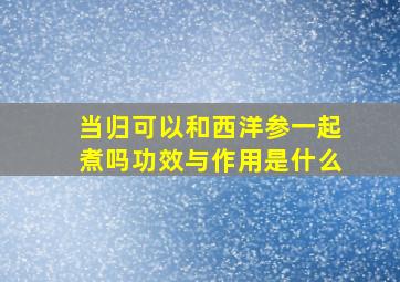 当归可以和西洋参一起煮吗功效与作用是什么