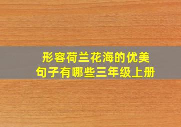 形容荷兰花海的优美句子有哪些三年级上册