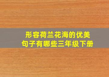 形容荷兰花海的优美句子有哪些三年级下册