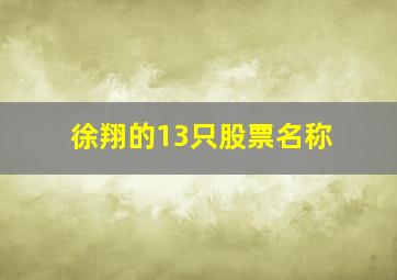 徐翔的13只股票名称