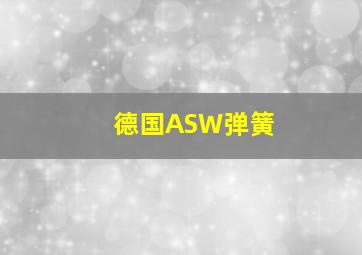 德国ASW弹簧