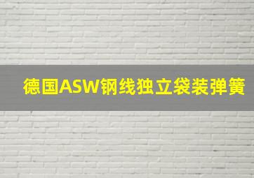 德国ASW钢线独立袋装弹簧