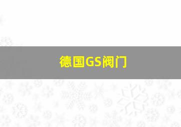 德国GS阀门