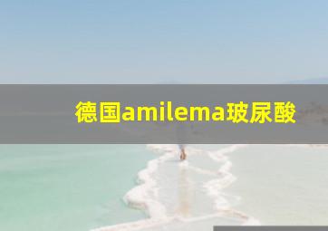 德国amilema玻尿酸