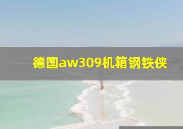 德国aw309机箱钢铁侠