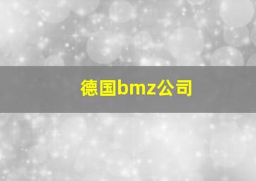 德国bmz公司