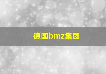 德国bmz集团