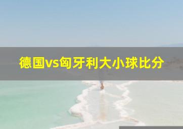 德国vs匈牙利大小球比分