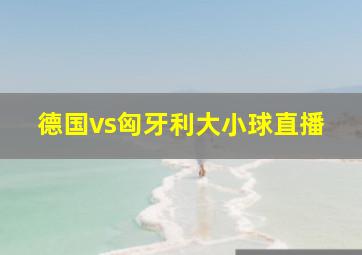 德国vs匈牙利大小球直播