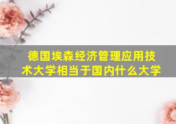 德国埃森经济管理应用技术大学相当于国内什么大学