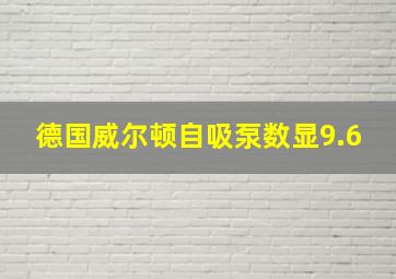 德国威尔顿自吸泵数显9.6