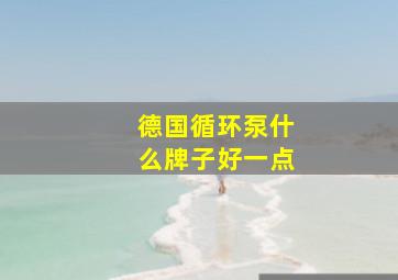 德国循环泵什么牌子好一点