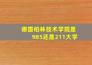 德国柏林技术学院是985还是211大学