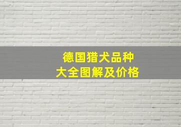 德国猎犬品种大全图解及价格