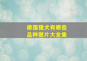 德国猎犬有哪些品种图片大全集