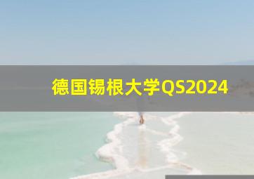 德国锡根大学QS2024