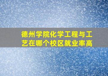 德州学院化学工程与工艺在哪个校区就业率高