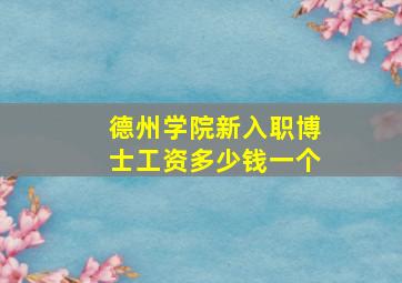 德州学院新入职博士工资多少钱一个