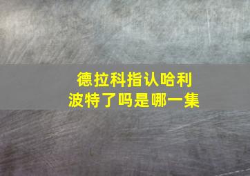 德拉科指认哈利波特了吗是哪一集