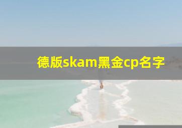 德版skam黑金cp名字