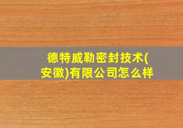 德特威勒密封技术(安徽)有限公司怎么样