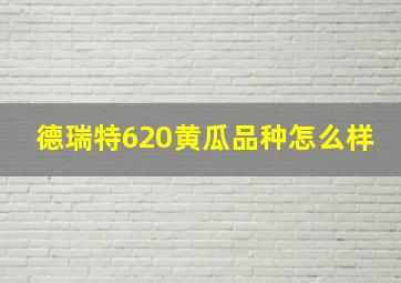 德瑞特620黄瓜品种怎么样