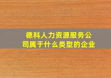 德科人力资源服务公司属于什么类型的企业