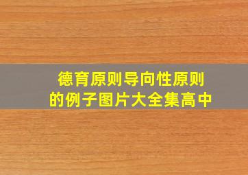 德育原则导向性原则的例子图片大全集高中