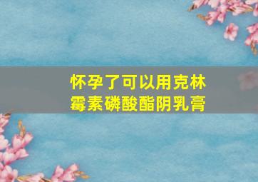 怀孕了可以用克林霉素磷酸酯阴乳膏