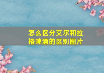 怎么区分艾尔和拉格啤酒的区别图片