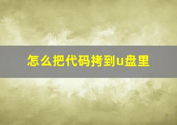 怎么把代码拷到u盘里