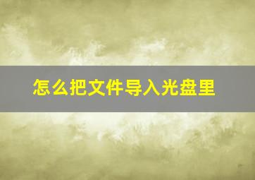 怎么把文件导入光盘里