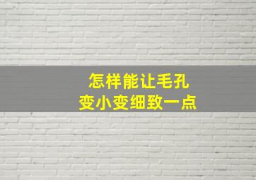 怎样能让毛孔变小变细致一点