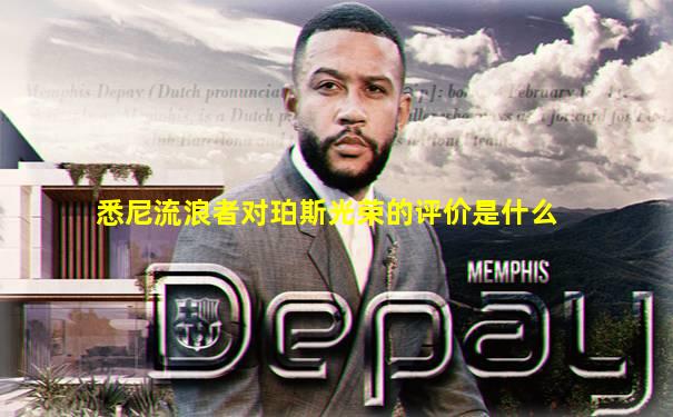 悉尼流浪者对珀斯光荣的评价是什么
