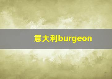 意大利burgeon