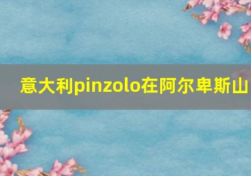 意大利pinzolo在阿尔卑斯山