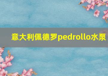 意大利佩德罗pedrollo水泵