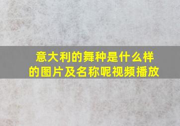 意大利的舞种是什么样的图片及名称呢视频播放