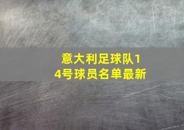 意大利足球队14号球员名单最新