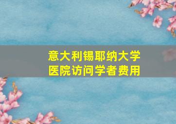 意大利锡耶纳大学医院访问学者费用