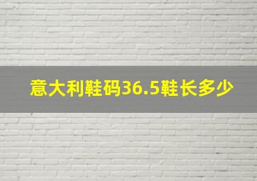 意大利鞋码36.5鞋长多少