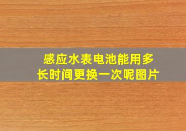 感应水表电池能用多长时间更换一次呢图片